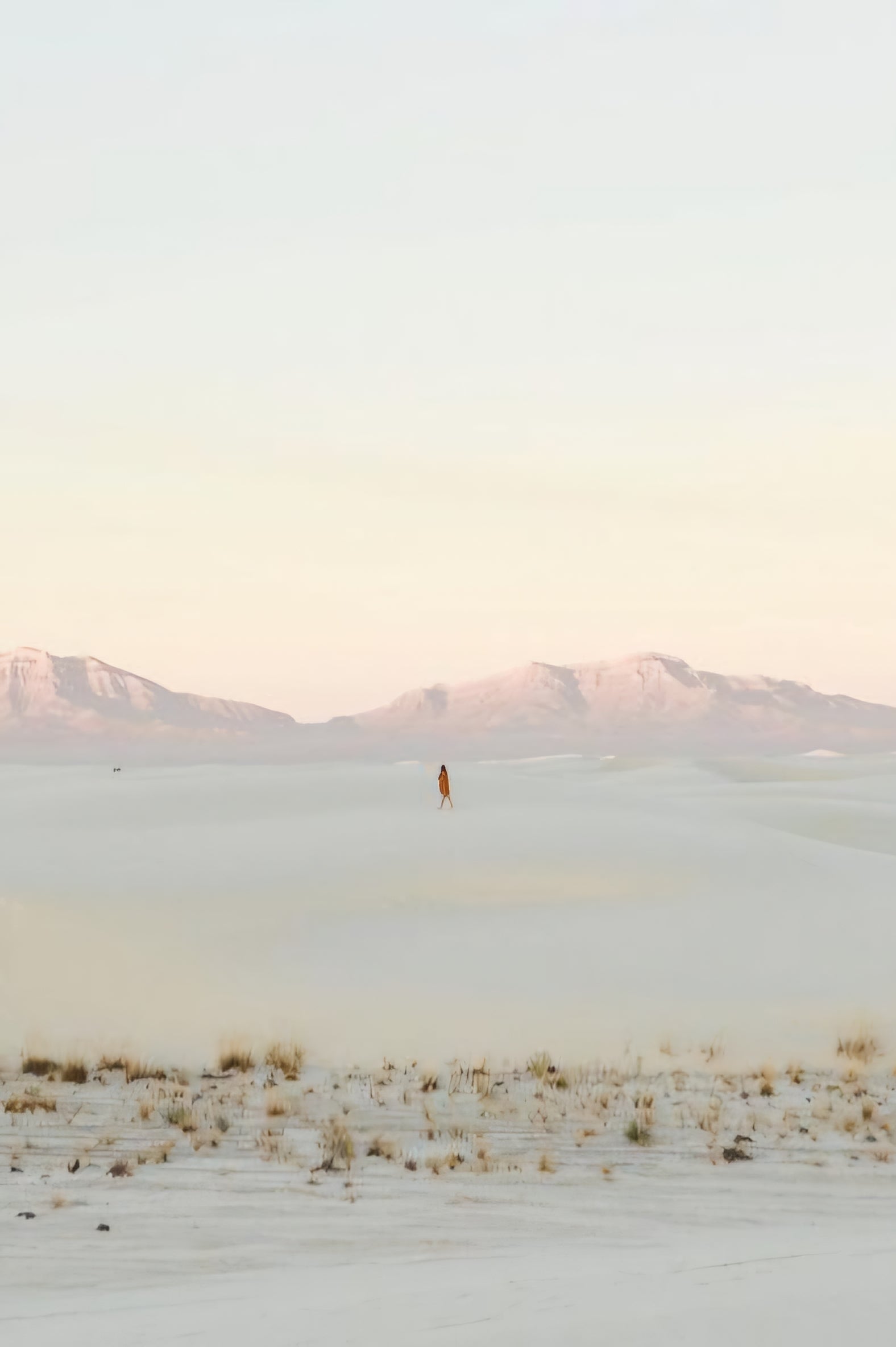 Gypsy Rue - LUMIÈRE COLLECTION