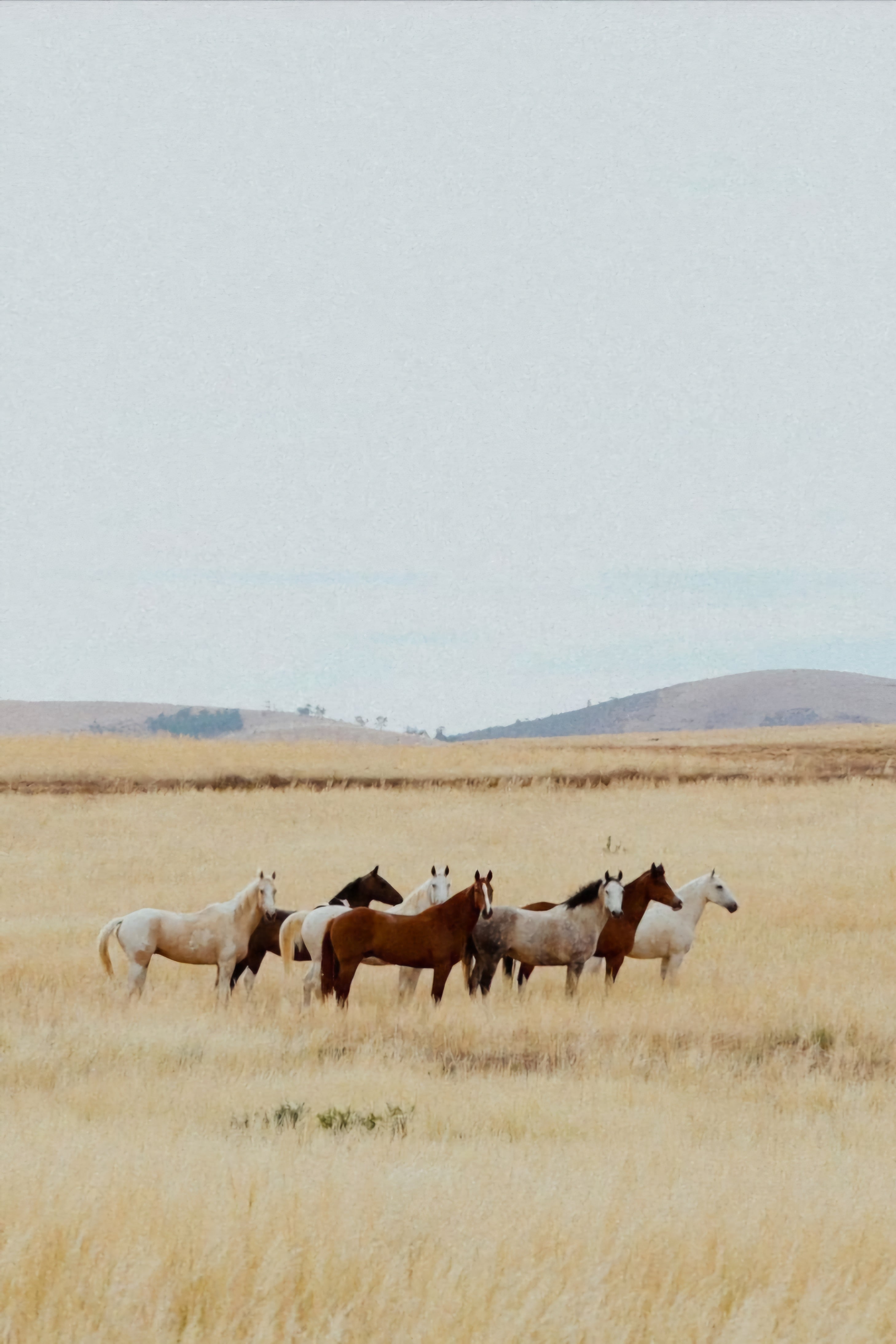 Porta Midi LUMIÈRE COLLECTION