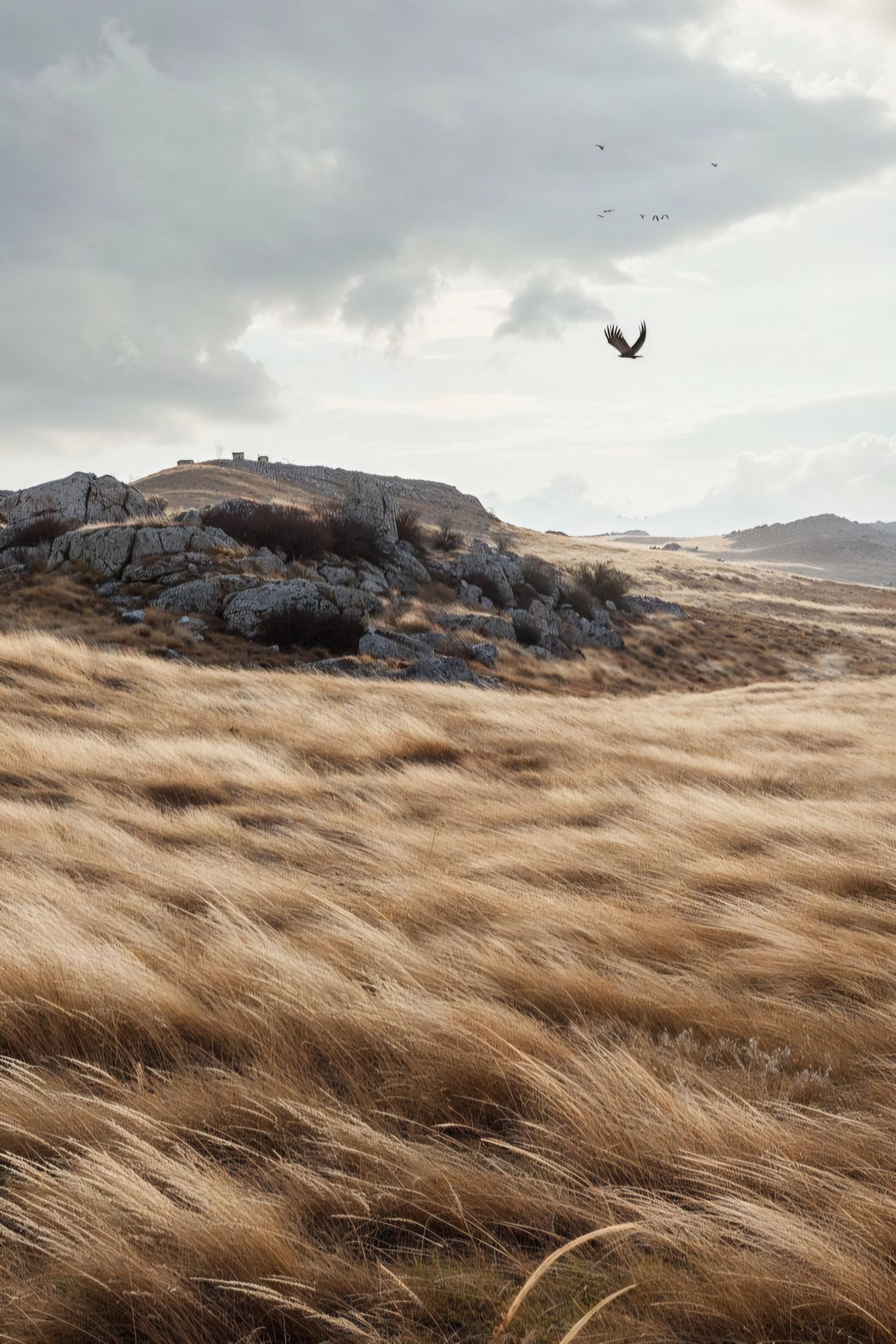 Daisy May Eyelet Pinofore - LUMIÈRE COLLECTION